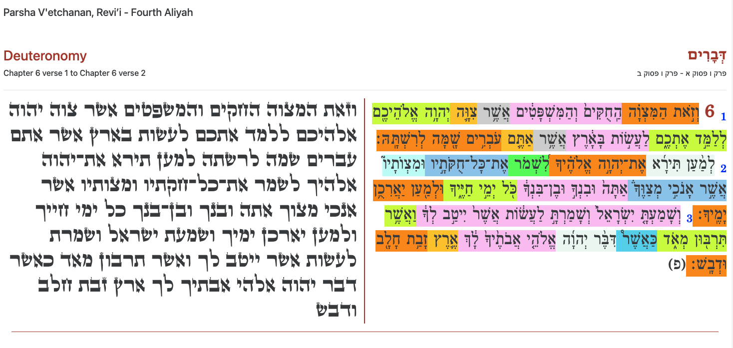 Interactive Tikkun